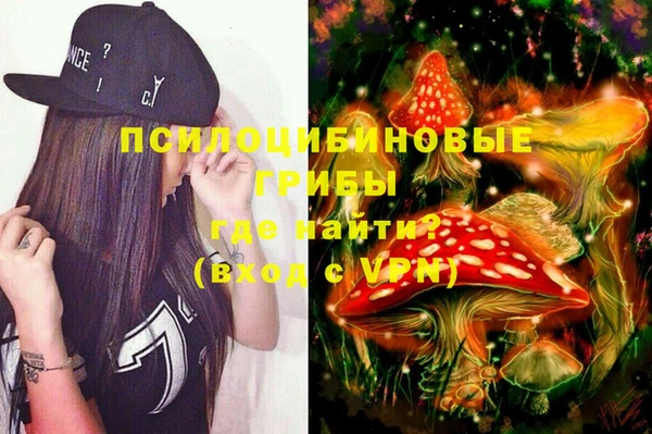 шишки Балабаново