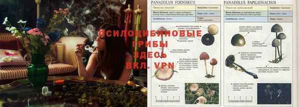героин Балахна