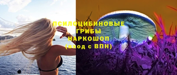 шишки Балабаново
