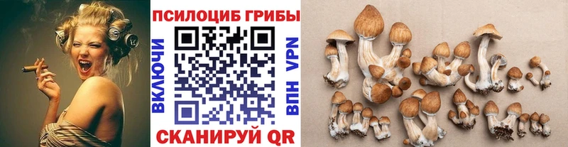 Галлюциногенные грибы мухоморы  закладка  Благодарный 